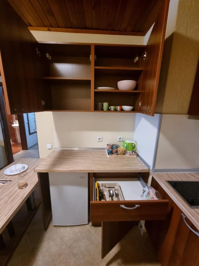 Cosy Apartments Within Walking Distance To Ski Lifts Μπάνσκο Εξωτερικό φωτογραφία